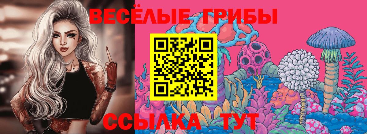Галлюциногенные грибы MAGIC MUSHROOMS  Вход с VPN  Выборг 